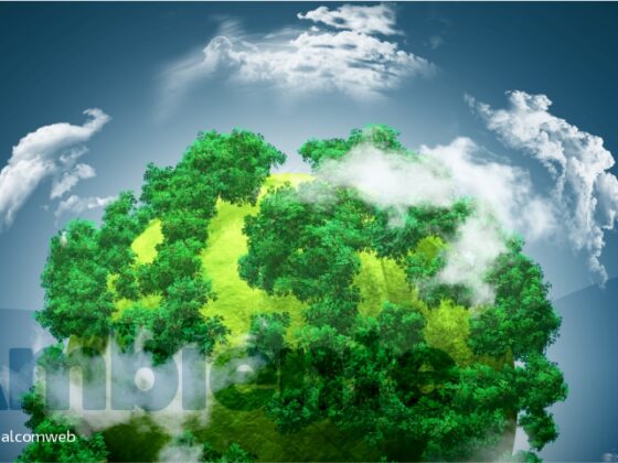 Cuidamos el medio ambiente